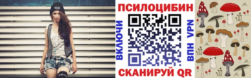 Псилоцибиновые грибы Psilocybe Шадринск