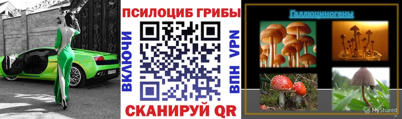 Галлюциногенные грибы Psilocybine cubensis  закладка  Шадринск 